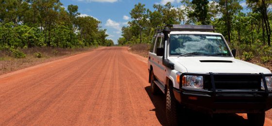 The importance of IVMS as a cost saving.